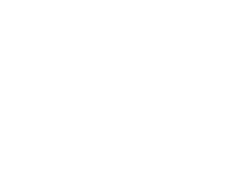 Cerveza Cruzcampo