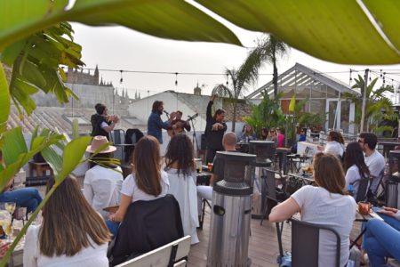 conciertos flamenco pura vida terraza Sevilla