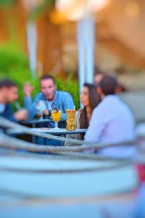 conciertos flamenco pura vida terraza Sevilla